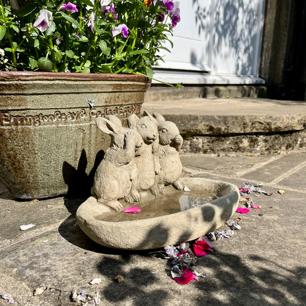 Поилка и купальня для птиц