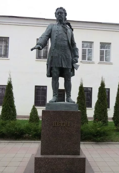 туи уже высоченные
