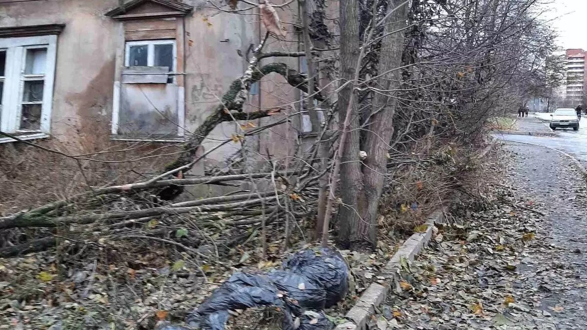     Мусорные мешки не вывозят со двора уже больше месяца, об этом высказались в соцсетях.