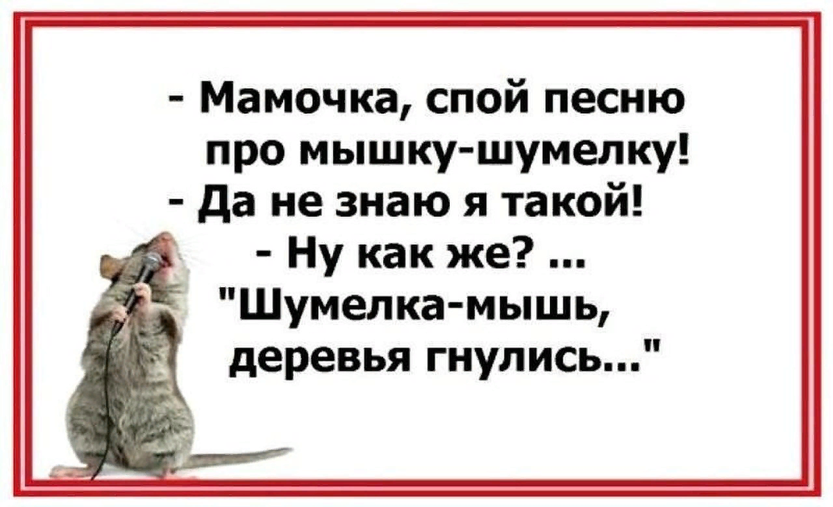 Спой мамочка. Анекдоты про мышей. Анекдот про шумелку-мышь. Афоризмы про мышей. Анекдот про мышку.