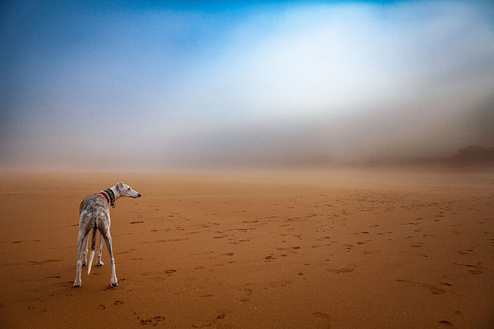    Фото: Canon Redline Challenge