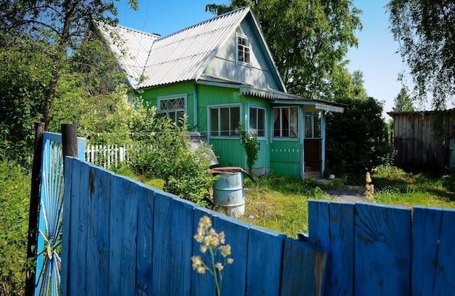 Фото Александра Беленького