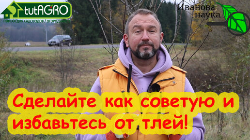 Download Video: ТЛИ БОЯТСЯ ЭТОГО КАК ОГНЯ! Самое время ВЫЖИГАТЬ тлей БЕЗ ОГНЯ! Как избавиться от тлей еще до лета.