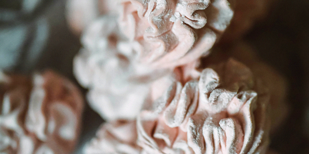 Вкуснейший сливовый зефир дома: лёгкий рецепт