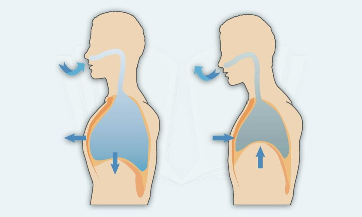 Через нос выдох через рот. Дыхание. Правильное дыхание. Дыхательная техника. Схема правильного дыхания.
