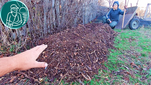 🌱 Бесплатное удобрение своими руками 🟢 Перегной из веток деревьев и кустарников