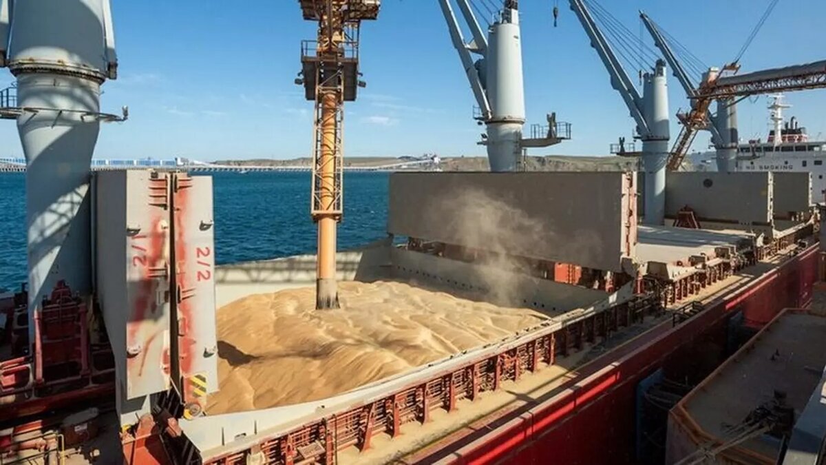     Аналитики указывают на то, что Украина справляется с экспортом своей продукции и без возобновления «зерновой сделки».