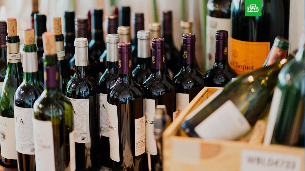    Фото: CHUTTERSNAP / unsplash.com