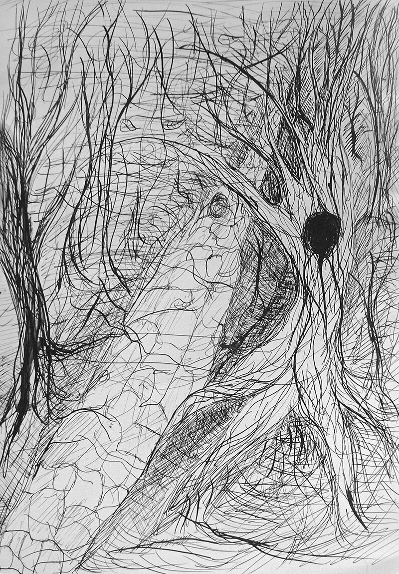 Дорога в неизвестность