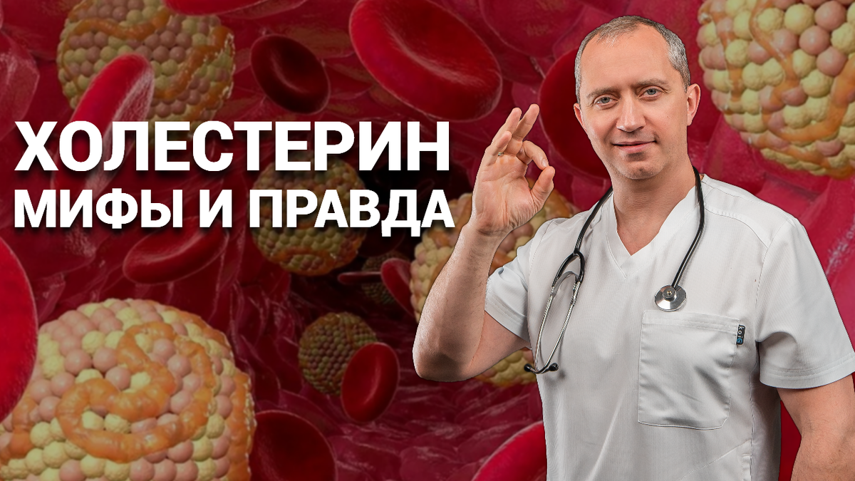 Холестерин: враг или друг? Факторы риска сосудистых событий (инфарктов ...
