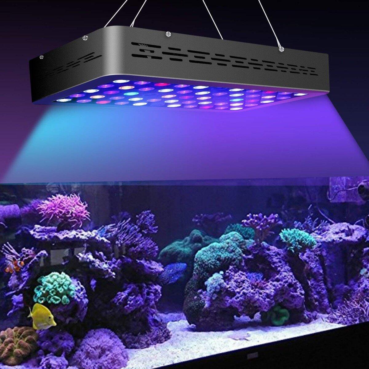 Led Aquarium CT Lite led 80w