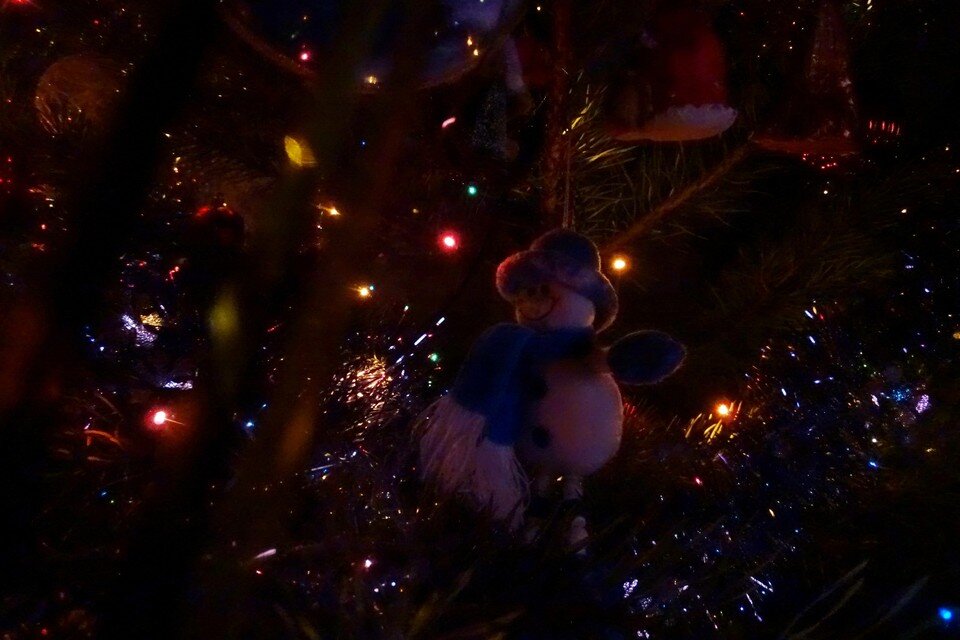    В Липецке стартовал конкурс на лучшую новогоднюю игрушку для Народной елки 2024 Юлия КЛЮЕВА