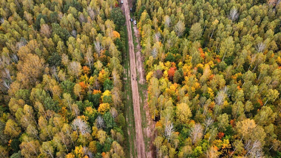    Узкоколейная дорога, по которой шел мужчина через лес. Фото: ПСО "Волонтер"