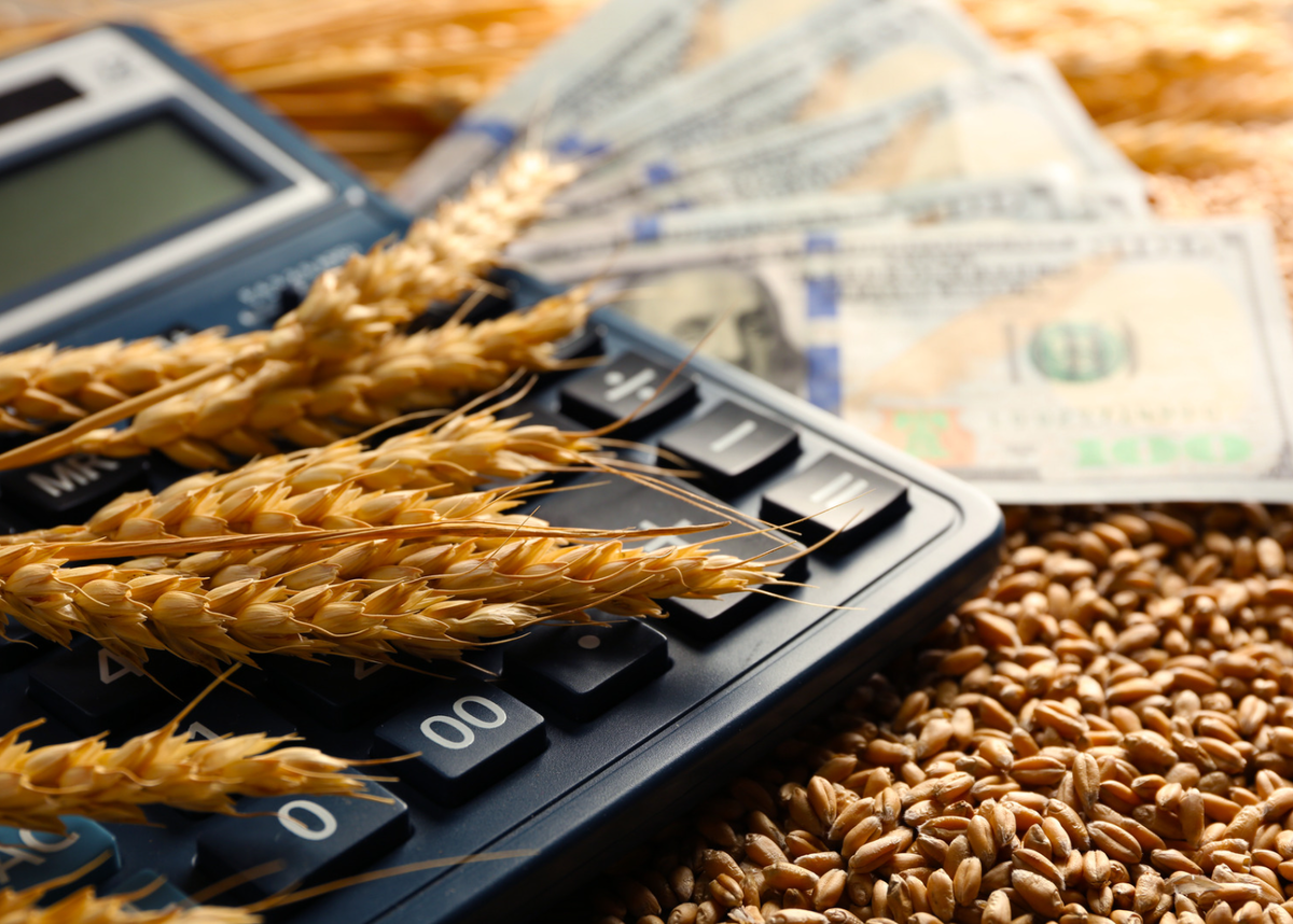 10 ноября 2023 г. Министерство сельского хозяйства РФ обновило ставки вывозной таможенной пошлины на зерновые культуры.
