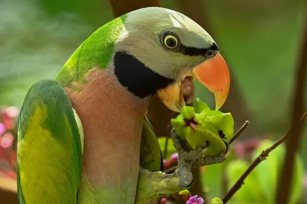 © AFP 2023 / Roslan Rahman