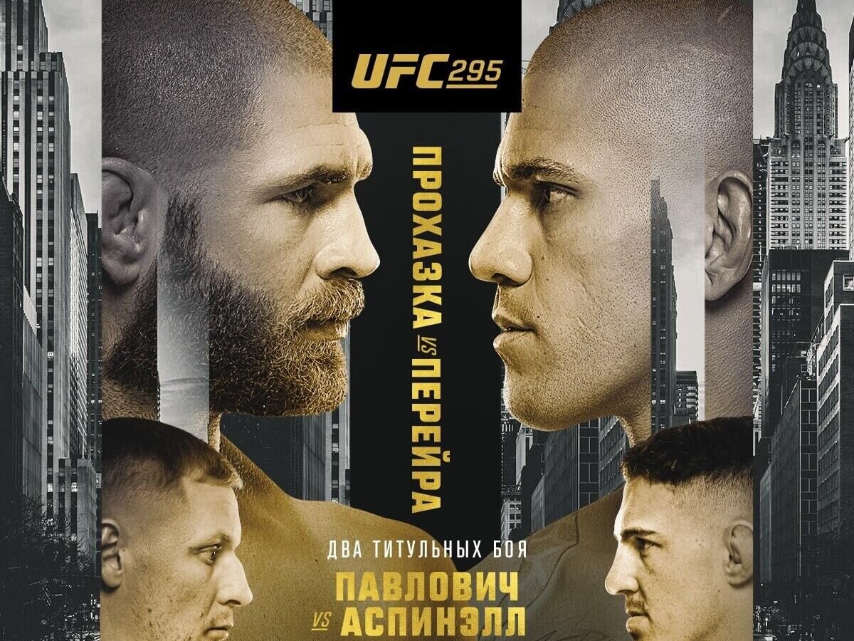    Официальный постер UFC 295© UFC