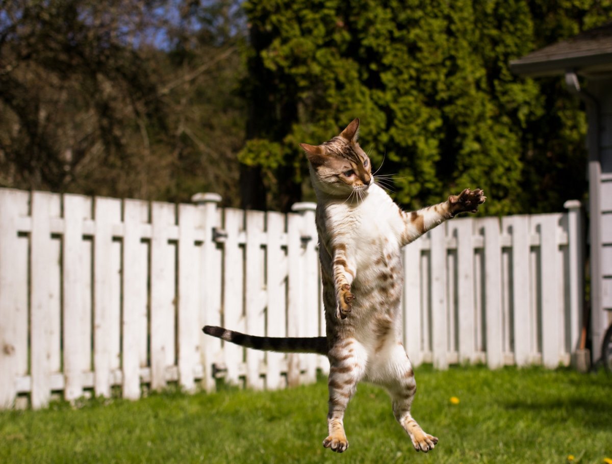 источник фотографии - господин всесильный интернет