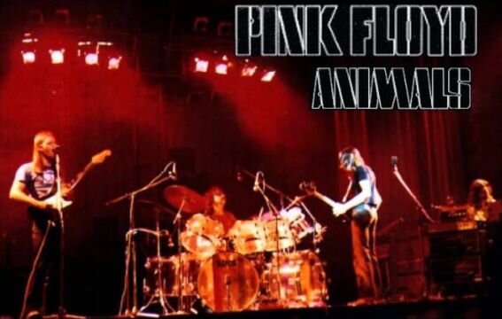 1977 год, Pink Floyd играют песни из своего нового альбома "Animals"