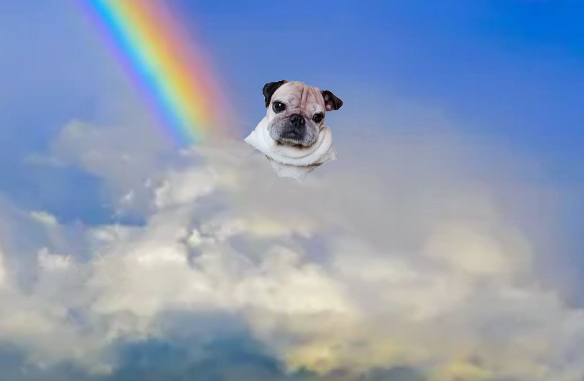 Надеюсь, что там ему хорошо. И уже ничего не беспокоит.