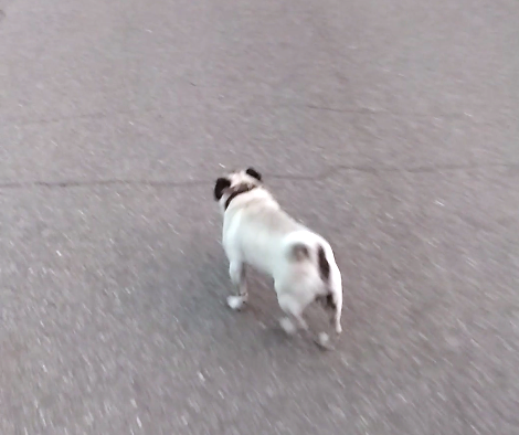 До боли любимый силуэт.