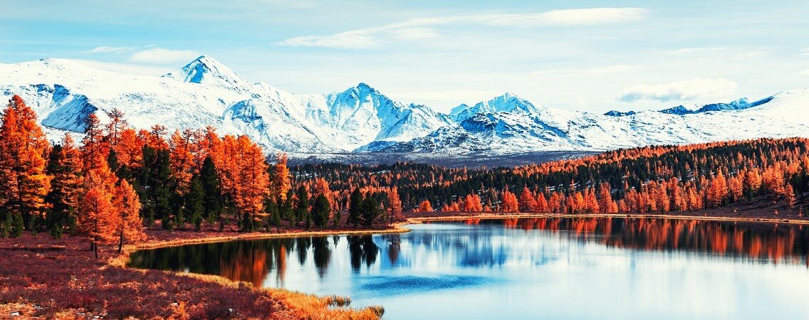 ©Olga Gavrilova/Shutterstock