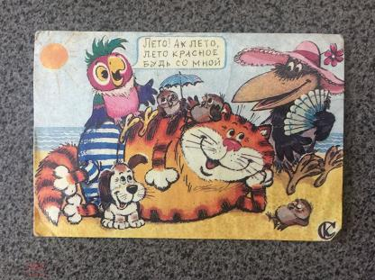 Картинка из свободного интернет-доступа