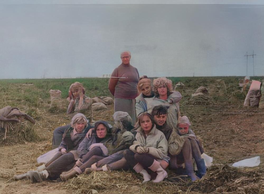 На уборке урожая