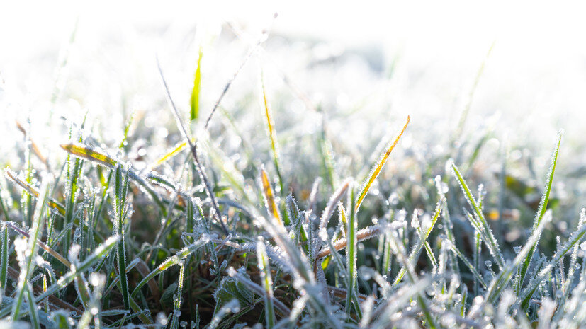   Gettyimages.ru Cosminxp Cosmin