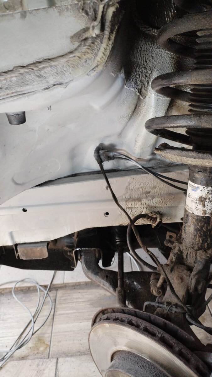 Вид на переднюю полость крыла