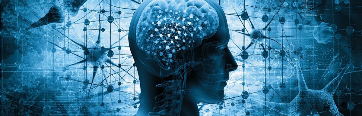 системное мышление