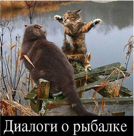 Традиционные ценности. А? | Просто о Праве | Дзен