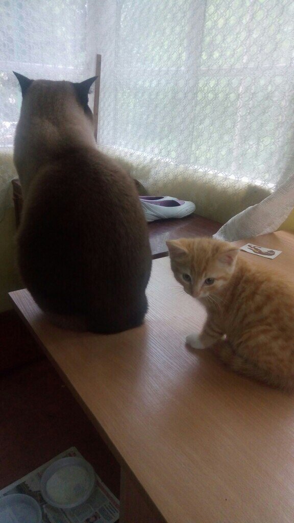 Не желаю знать