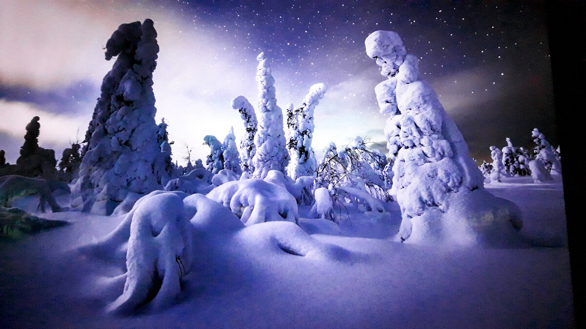 Россия, Кандалакша, Мурманская область, фотограф Николай Степаненко