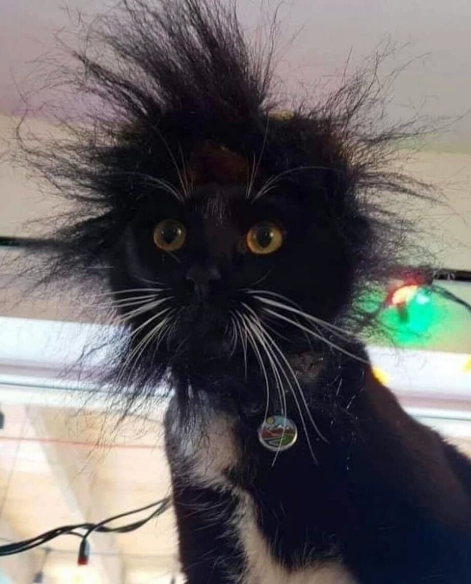 С просторов интернета