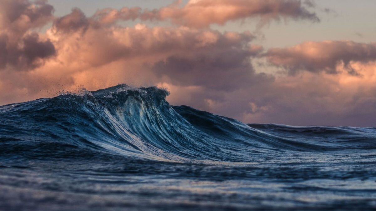   Фото: Unsplash Август Макаров