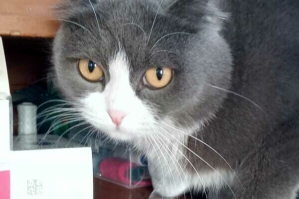    Фото: пресс-служба ГУ МЧС РФ по Челябинской области