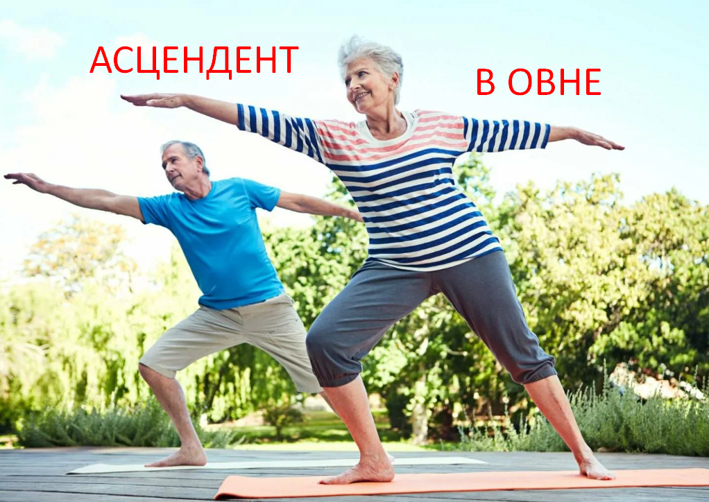 Фото из открытого источника