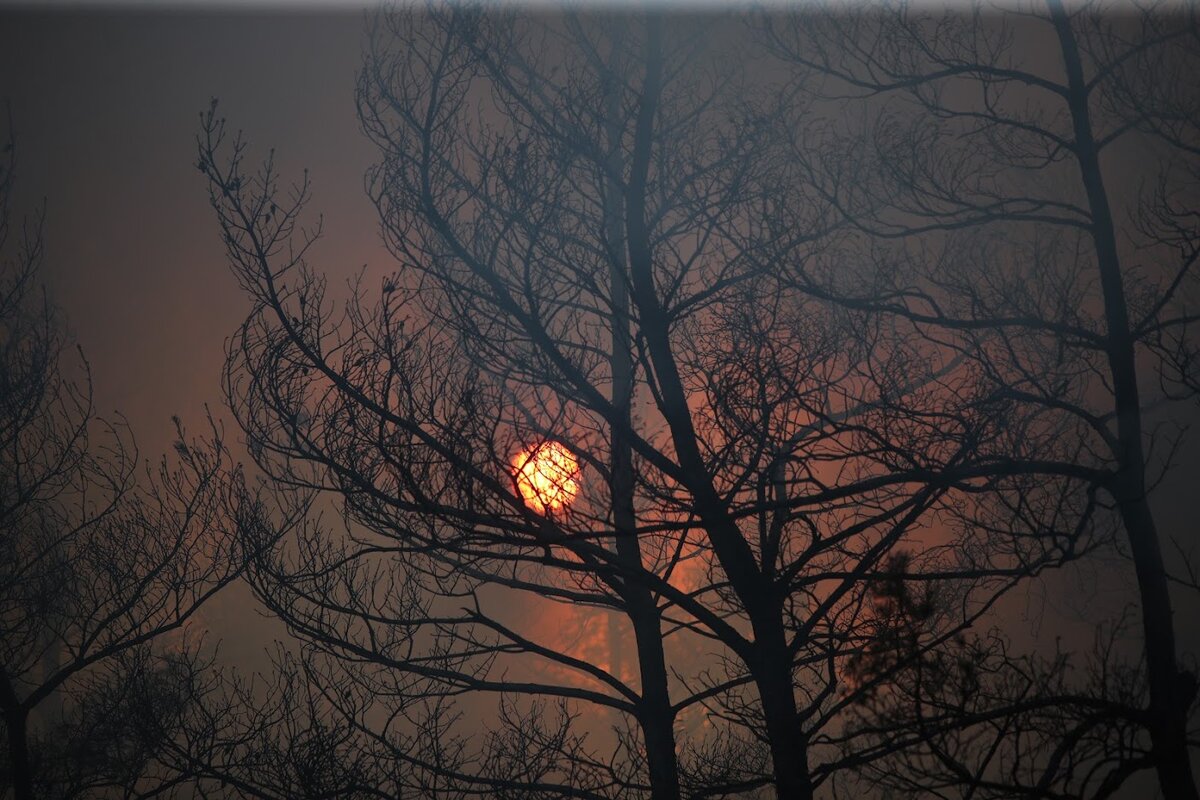 © ФОТО: ИД «ВОЛГОГРАДСКАЯ ПРАВДА» / АРХИВ.