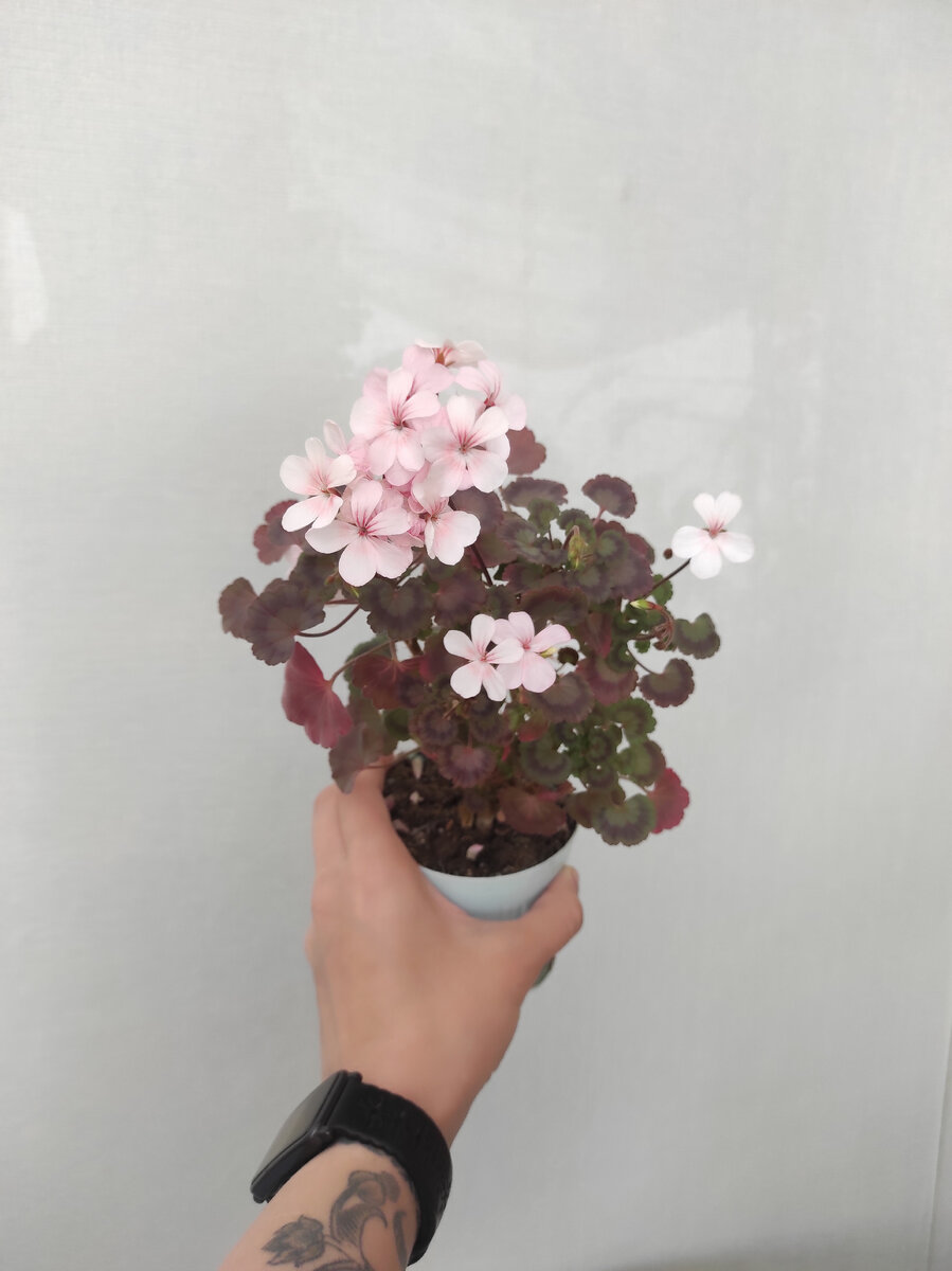 Успела загореть под весенним солнышком