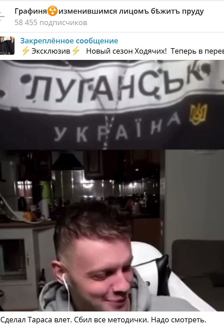 СКРИНШОТ: ГРАФИНЯ☢️ИЗМЕНИВШИМСЯ ЛИЦОМЪ БѢЖИТЪ ПРУДУ/TELEGRAM