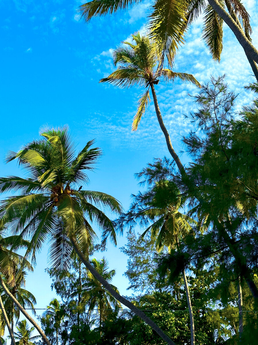 Лежишь на пляже... смотришь вверх, а там... балдёж