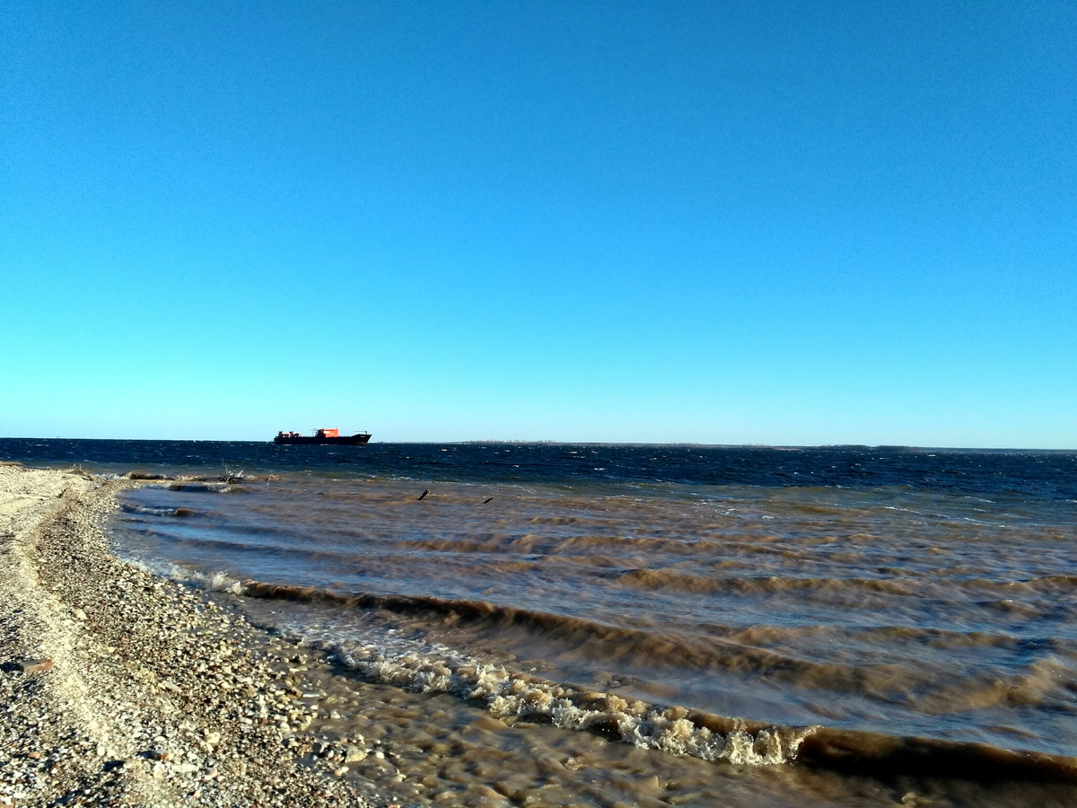 Здесь и далее фото Миши Басинова, Вовы Насибуллина и Артема Вольского