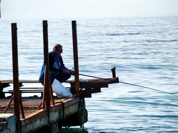    Фото: Никита Чудин. UG.RU