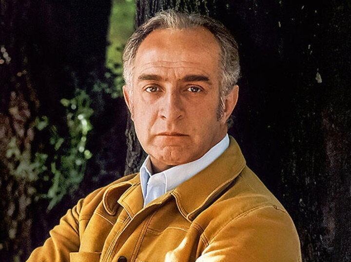 Игорь Дмитриев, аристократ советского кино, фото из открытых источников.