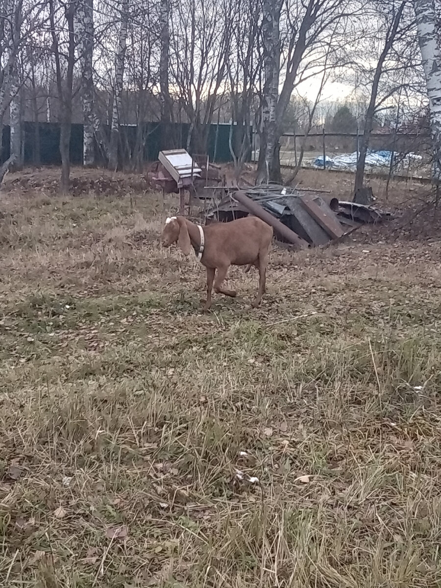 Фото автора. 
