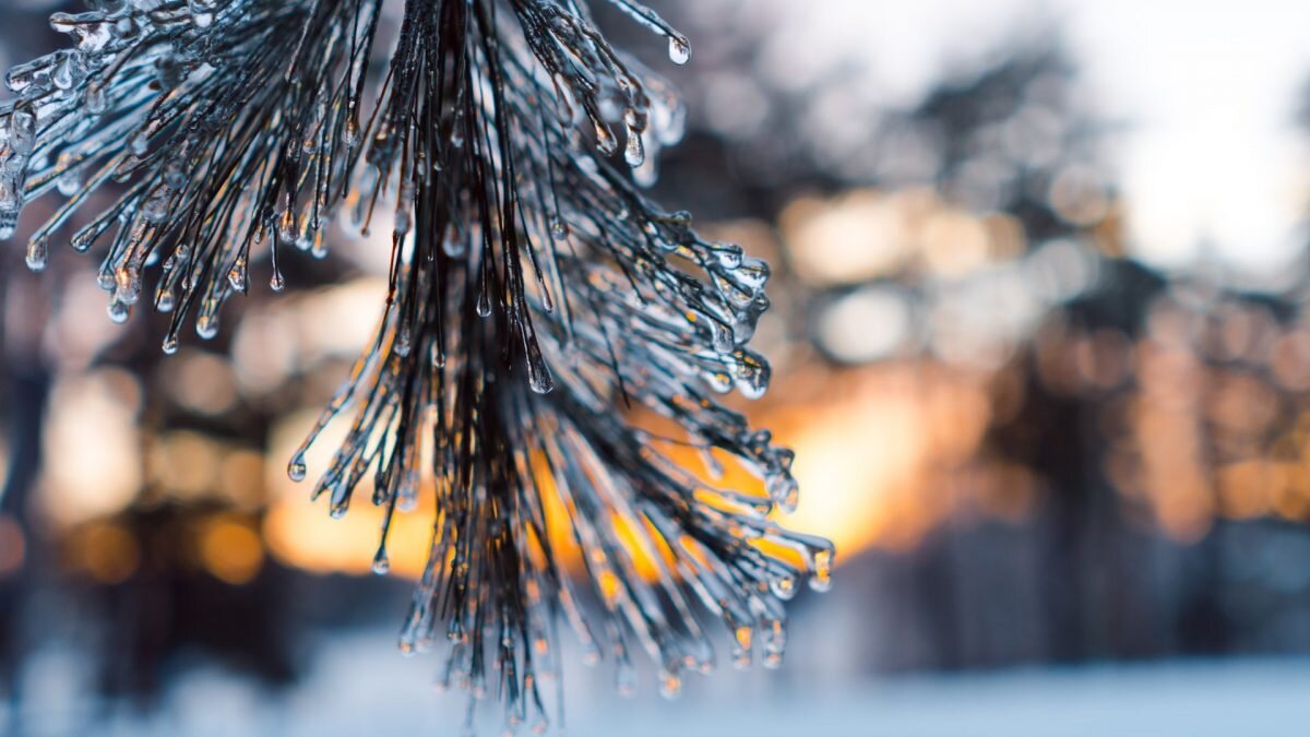    Фото: unsplash.com. Анатолий Пак