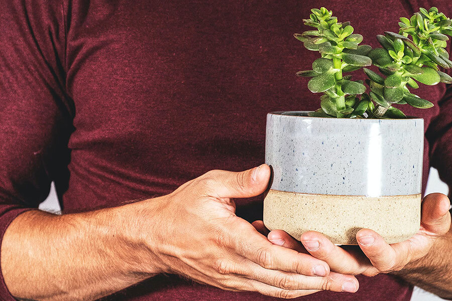    Фото: feey/Unsplash