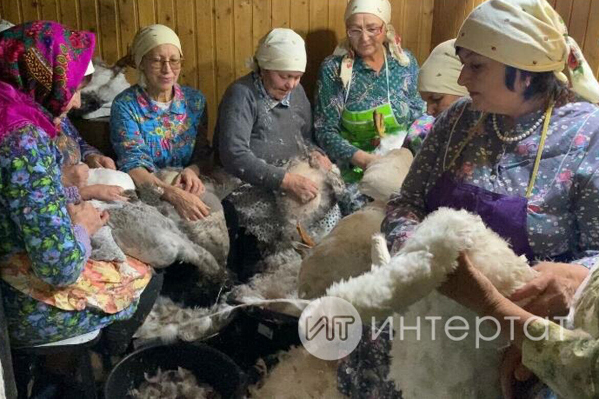 ​Фото: © «ИТ Интертат»