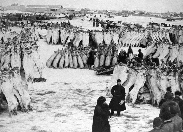 Торговля мясными тушами. Курган, 1903 год.