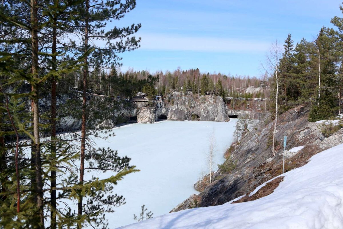 Ели карелии